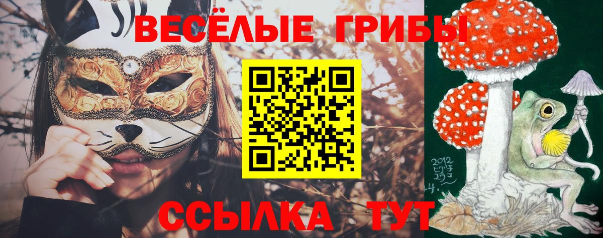 Галлюциногенные грибы мицелий Минеральные Воды
